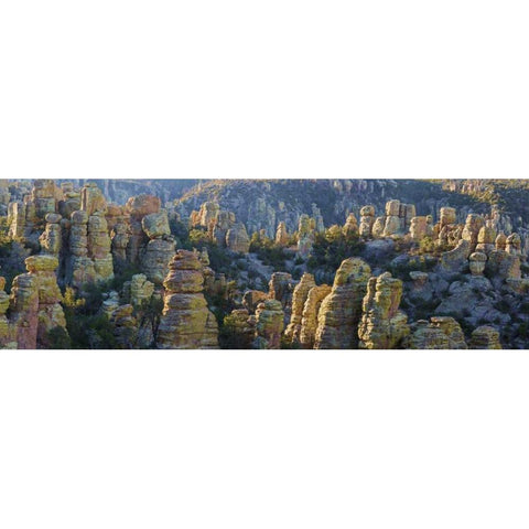AZ, Chiricahua NM Panoramic of rocky landscape Black Modern Wood Framed Art Print by Paulson, Don