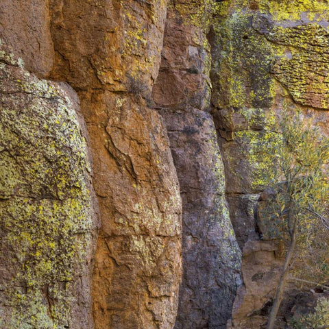 Arizona, Chiricahua National Monument Cliff face White Modern Wood Framed Art Print with Double Matting by Paulson, Don