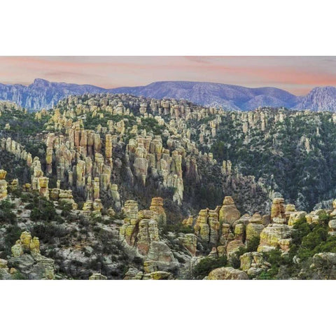 Arizona, Chiricahua Sunrise on rocky landscape Gold Ornate Wood Framed Art Print with Double Matting by Paulson, Don