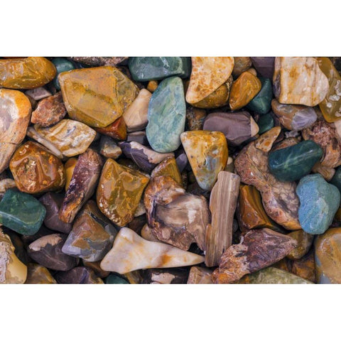 USA, Arizona, Tucson Detail of polished rocks White Modern Wood Framed Art Print by Paulson, Don