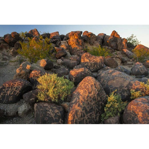 Arizona, Painted Rocks Rocks with petroglyphs Black Modern Wood Framed Art Print by Illg, Cathy and Gordon