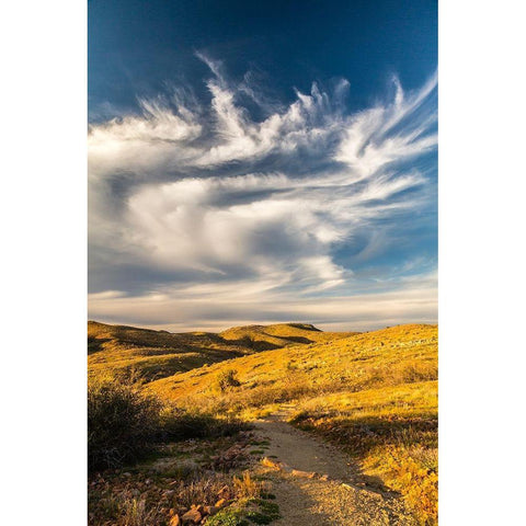 Arizona-Globe Desert landscape in Round Mountain Park Black Modern Wood Framed Art Print by Jaynes Gallery