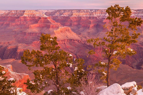 Arizona-Grand Canyon National Park Sunrise on Mather Point White Modern Wood Framed Art Print with Double Matting by Jaynes Gallery