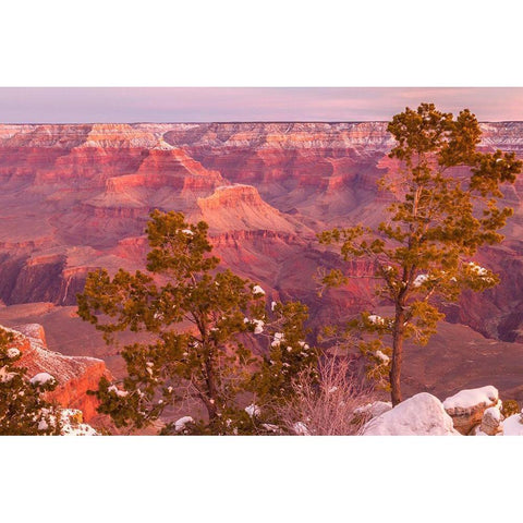 Arizona-Grand Canyon National Park Sunrise on Mather Point Black Modern Wood Framed Art Print with Double Matting by Jaynes Gallery