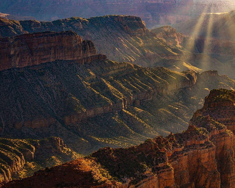 Arizona-Grand Canyon National Park North Rim of Grand Canyon at sunrise  White Modern Wood Framed Art Print with Double Matting by Jaynes Gallery
