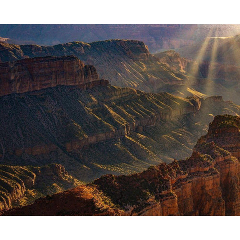 Arizona-Grand Canyon National Park North Rim of Grand Canyon at sunrise  Gold Ornate Wood Framed Art Print with Double Matting by Jaynes Gallery