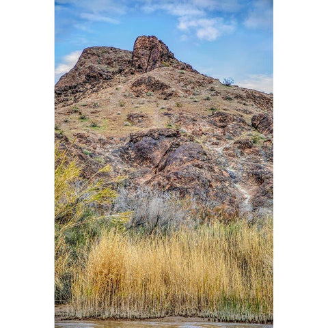 Arizona Ancient petroglyphs on rocks  Black Modern Wood Framed Art Print by Jaynes Gallery