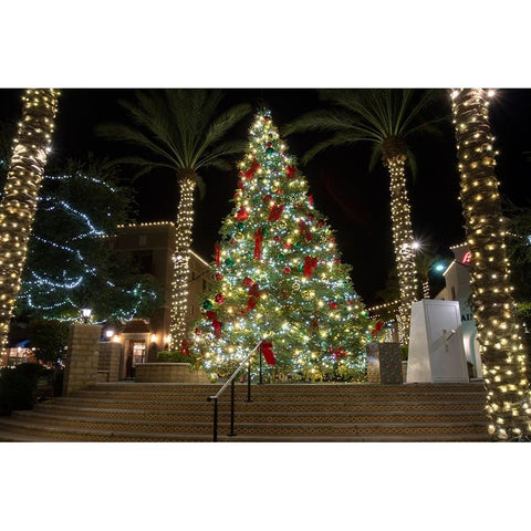 USA-Arizona-Buckeye-Christmas tree in the village square at night Black Modern Wood Framed Art Print by Jaynes Gallery