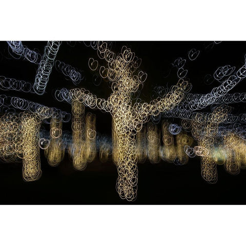 USA-Arizona-Buckeye-Abstract of decorated trees at night during Christmas Black Modern Wood Framed Art Print with Double Matting by Jaynes Gallery