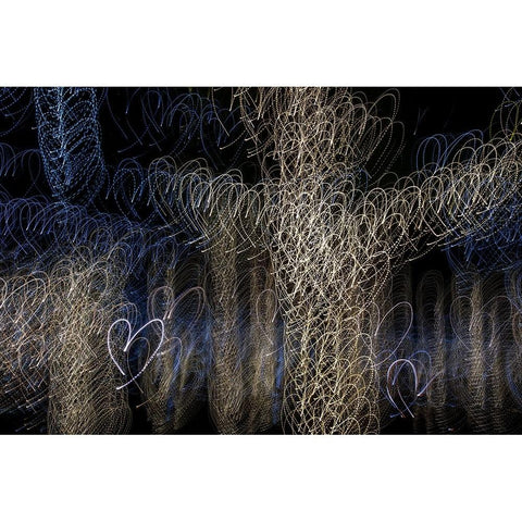 USA-Arizona-Buckeye-Abstract of decorated trees at night during Christmas White Modern Wood Framed Art Print by Jaynes Gallery