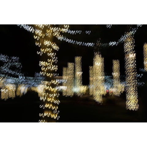 USA-Arizona-Buckeye-Abstract of decorated trees at night during Christmas Black Modern Wood Framed Art Print with Double Matting by Jaynes Gallery