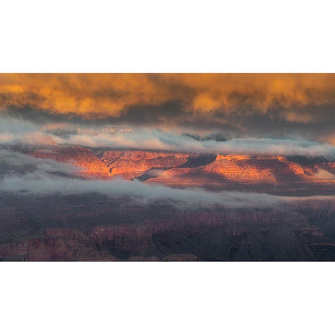 USA-Arizona-Grand Canyon-Foggy sunrise on canyon White Modern Wood Framed Art Print by Jaynes Gallery