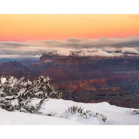 USA-Arizona-Grand Canyon-Winter sunrise on canyon Black Modern Wood Framed Art Print by Jaynes Gallery