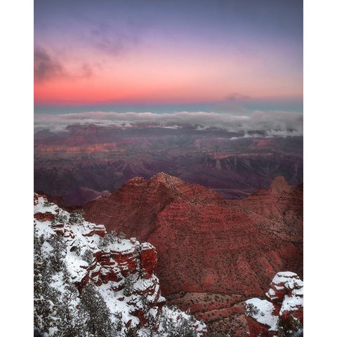 USA-Arizona-Grand Canyon-Winter sunrise on canyon Black Modern Wood Framed Art Print by Jaynes Gallery