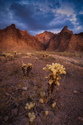 USA-Arizona-Kofa National Wildlife Area-Mountain and desert landscape White Modern Wood Framed Art Print with Double Matting by Jaynes Gallery