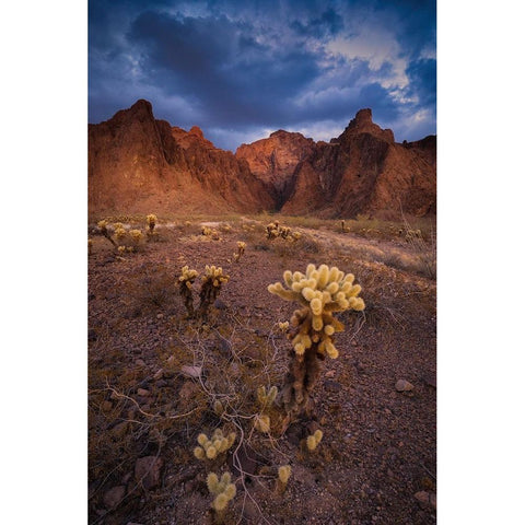 USA-Arizona-Kofa National Wildlife Area-Mountain and desert landscape Black Modern Wood Framed Art Print with Double Matting by Jaynes Gallery