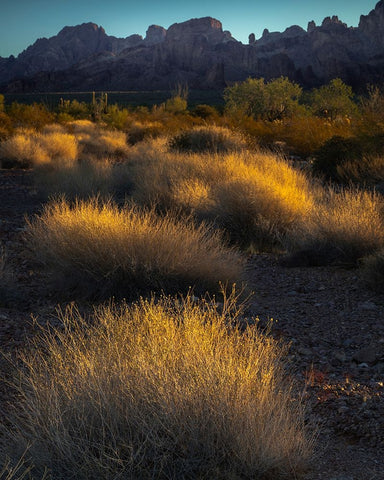 USA-Arizona-Kofa National Wildlife Area-Mountain and desert landscape at sunrise White Modern Wood Framed Art Print with Double Matting by Jaynes Gallery