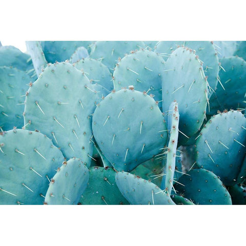 Desert cactus-Carefree-Arizona Gold Ornate Wood Framed Art Print with Double Matting by McRoberts, Julien