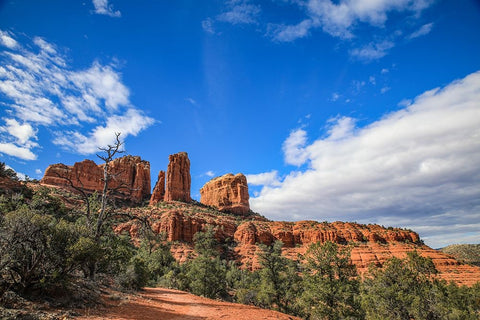 Sedona- Arizona. Cathedral Rock trailhead Black Ornate Wood Framed Art Print with Double Matting by Sienda, Jolly