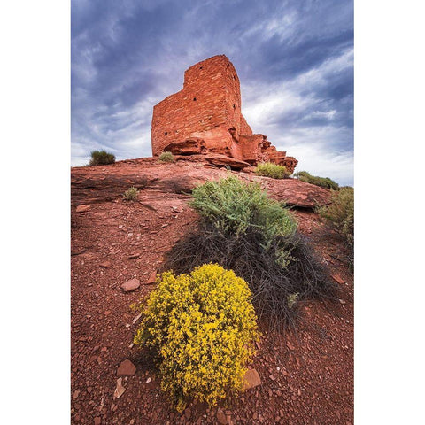 Evening light on Wukoki Ruin-Wupatki National Monument-Arizona Black Modern Wood Framed Art Print by Bishop, Russ