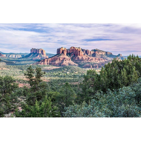 Arizona-Sedona Cathedral Rock Gold Ornate Wood Framed Art Print with Double Matting by Tilley, Rob