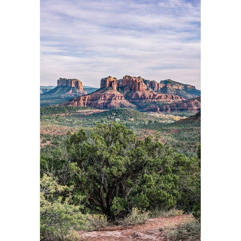 Arizona-Sedona Cathedral Rock Gold Ornate Wood Framed Art Print with Double Matting by Tilley, Rob