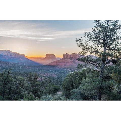 Arizona-Sedona Cathedral Rock at sunrise Black Modern Wood Framed Art Print by Tilley, Rob