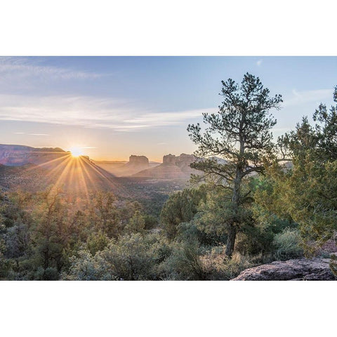 Arizona-Sedona Cathedral Rock at sunrise Gold Ornate Wood Framed Art Print with Double Matting by Tilley, Rob
