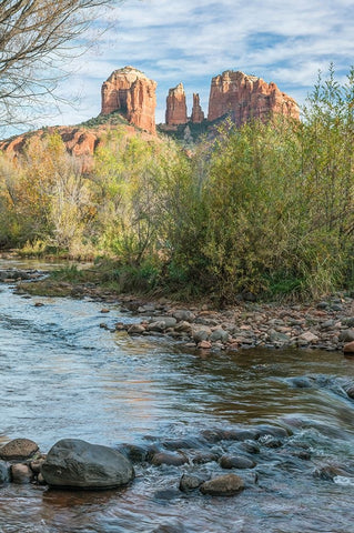 Arizona-Sedona Oak Creek and Cathedral Rock White Modern Wood Framed Art Print with Double Matting by Tilley, Rob