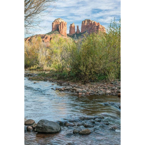 Arizona-Sedona Oak Creek and Cathedral Rock Black Modern Wood Framed Art Print by Tilley, Rob