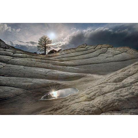 A pool reflects in folds of Brain Rock in white pockets in northern Arizona Black Modern Wood Framed Art Print with Double Matting by SMO