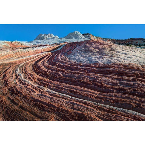 Swirls of colored sandstone in the white pockets area in northern Arizona Black Modern Wood Framed Art Print by SMO