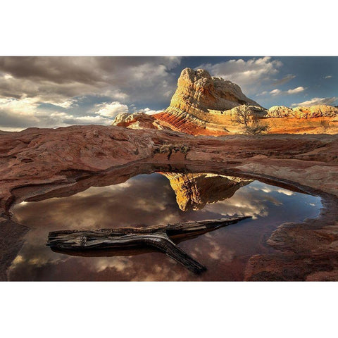 A log in a pool reflect white pockets area in northern Arizona Black Modern Wood Framed Art Print by SMO