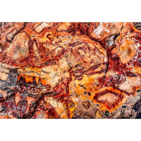 Red-orange and yellow petrified wood abstract-Blue Mesa-Petrified Forest National Park-Arizona White Modern Wood Framed Art Print by Perry, William