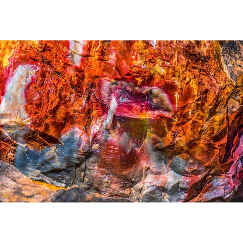 Red-orange and yellow petrified wood abstract-Blue Mesa-Petrified Forest National Park-Arizona White Modern Wood Framed Art Print by Perry, William