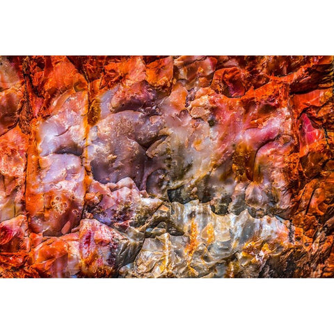Red-orange and yellow petrified wood abstract-Blue Mesa-Petrified Forest National Park-Arizona Black Modern Wood Framed Art Print by Perry, William