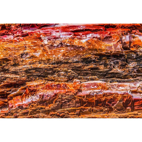 Red-orange and yellow petrified wood abstract-Blue Mesa-Petrified Forest National Park-Arizona White Modern Wood Framed Art Print by Perry, William