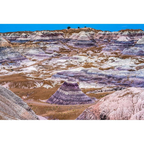 Hikers trail-Blue Mesa-Painted Desert-Petrified Forest National Park-Arizona Black Modern Wood Framed Art Print by Perry, William