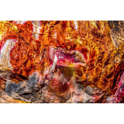 Red-orange and yellow petrified wood abstract-Blue Mesa-Petrified Forest National Park-Arizona Black Modern Wood Framed Art Print with Double Matting by Perry, William