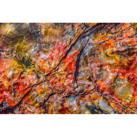 Red-blue-orange petrified wood-Visitor Center-Petrified Forest National Park-Arizona Gold Ornate Wood Framed Art Print with Double Matting by Perry, William