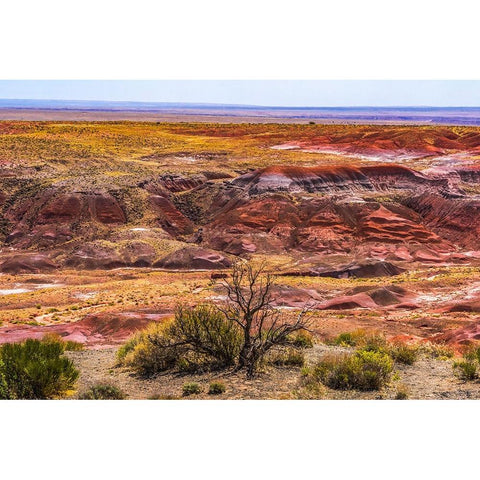 Tawa Point-Painted Desert-Petrified Forest National Park-Arizona Black Modern Wood Framed Art Print by Perry, William