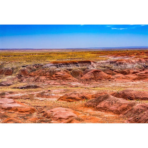 Tawa Point-Painted Desert-Petrified Forest National Park-Arizona Black Modern Wood Framed Art Print by Perry, William