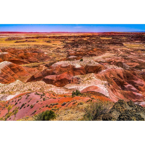 Tawa Point-Painted Desert-Petrified Forest National Park-Arizona Black Modern Wood Framed Art Print by Perry, William
