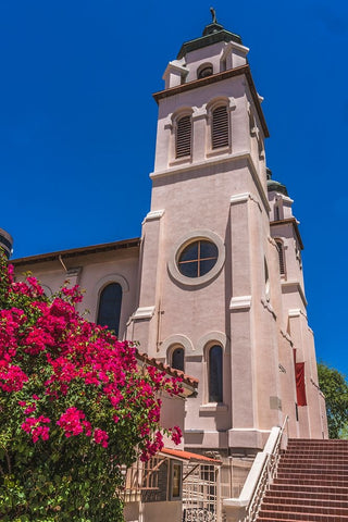 Saint Mary Basilica- Phoenix- Arizona. Founded 1881- rebuilt stained glass from 1915 Black Ornate Wood Framed Art Print with Double Matting by Perry, William