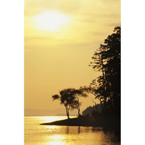 Arkansas Sunset on Lake Ouachita, Ouachita NF White Modern Wood Framed Art Print by Flaherty, Dennis