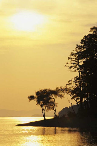 Arkansas Sunset on Lake Ouachita, Ouachita NF Black Ornate Wood Framed Art Print with Double Matting by Flaherty, Dennis