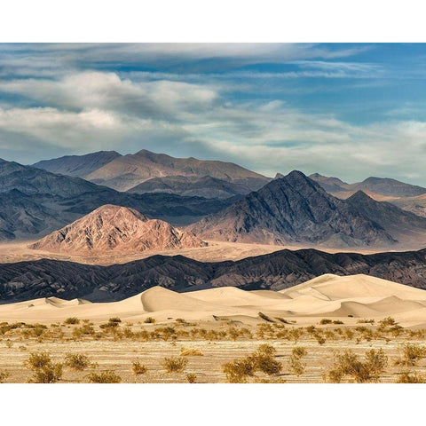 California-Death Valley National Park-Stovepipe Wells-Mesquite Flat Dunes Black Modern Wood Framed Art Print by Collins, Ann