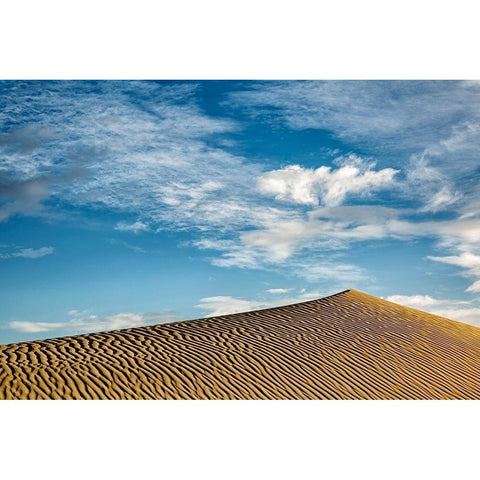 California-Death Valley National Park-Early morning on the Mesquite Flat Dunes White Modern Wood Framed Art Print by Collins, Ann