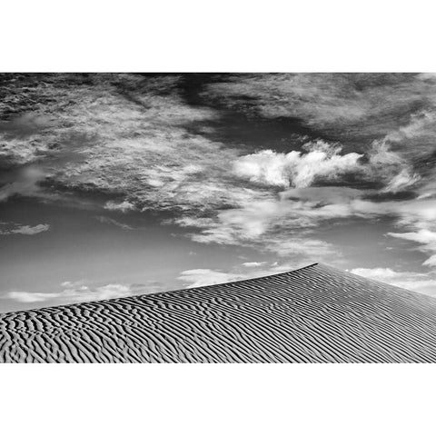 California-Death Valley National Park-Early morning on the Mesquite Flat Dunes Black Modern Wood Framed Art Print with Double Matting by Collins, Ann