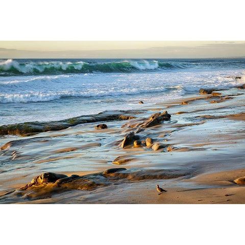 California-La Jolla-Surf breaking off Coast Blvd Park Gold Ornate Wood Framed Art Print with Double Matting by Collins, Ann